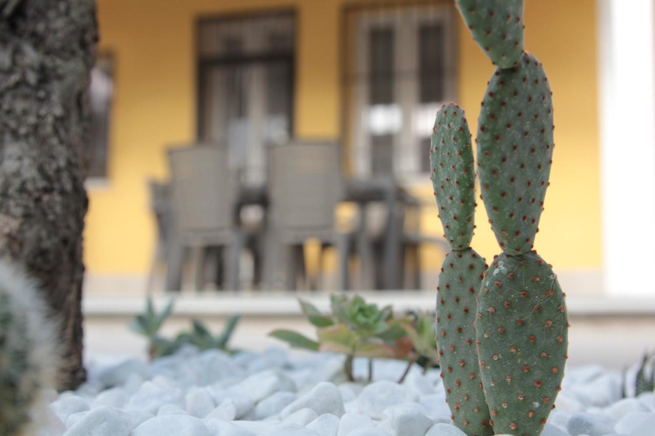 Agas Exclusive Apartment Καταντζάρο Εξωτερικό φωτογραφία